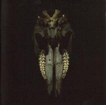 Creation Is Crucifixion : In Silico